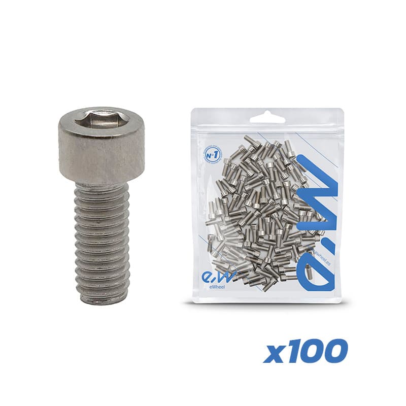 Tornillos guardabarro Dualtron 100 uds